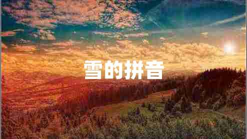 雪的拼音