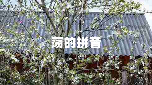 荡的拼音