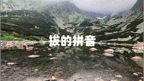 拔的拼音