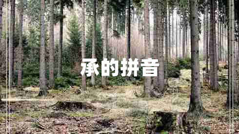 承的拼音