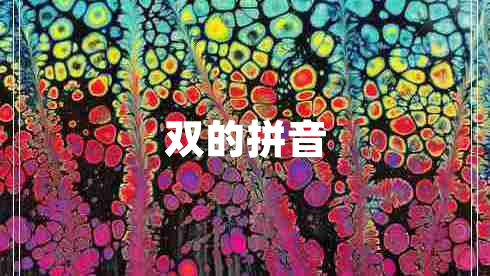 双的拼音