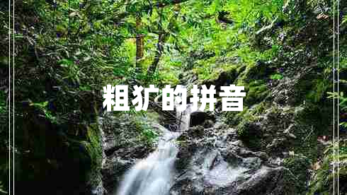 粗犷的拼音