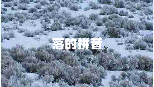 落的拼音 落的拼音