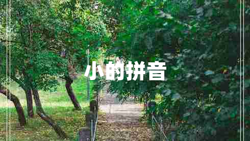 小的拼音