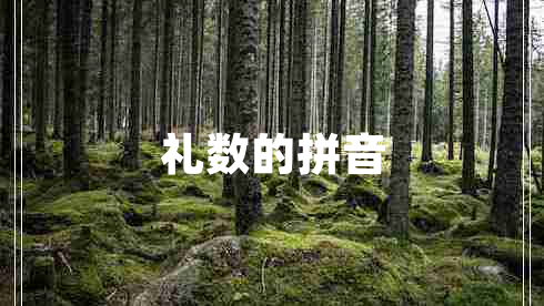 礼数的拼音 礼数的拼音