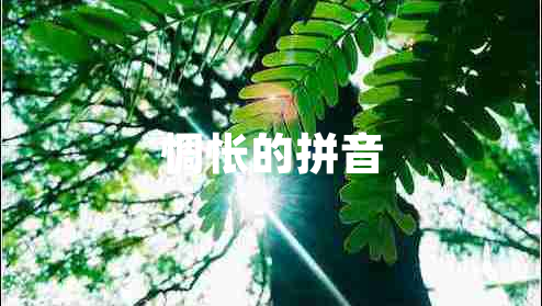 惆怅的拼音 惆怅的拼音