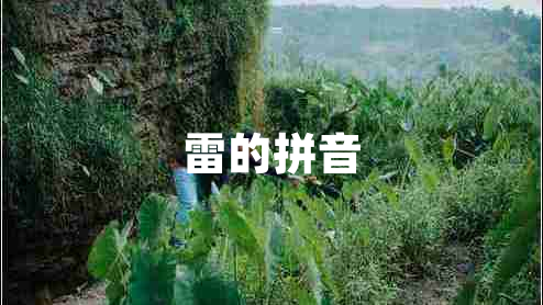 雷的拼音