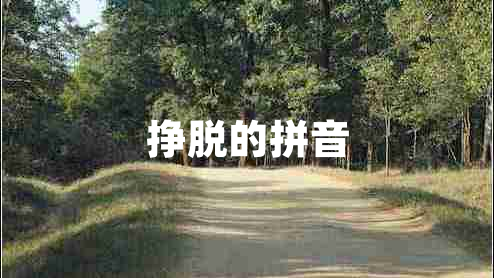 挣脱的拼音