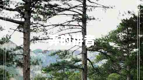 弄的拼音 弄的拼音