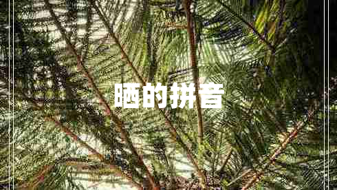 晒的拼音 晒的拼音