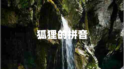 狐狸的拼音