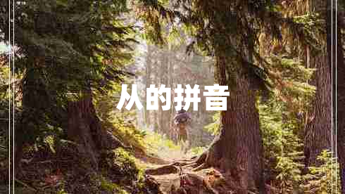 从的拼音