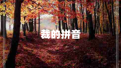 裁的拼音