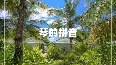 琴的拼音