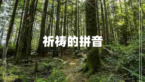 祈祷的拼音