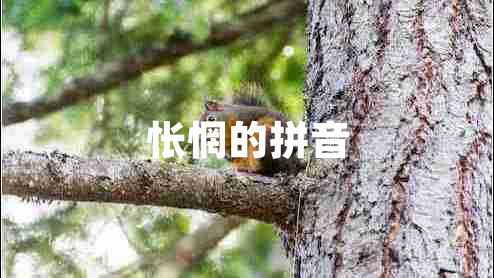 怅惘的拼音