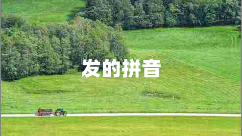 发的拼音