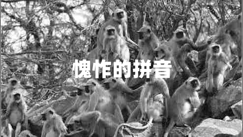 愧怍的拼音