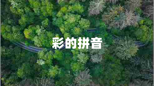 彩的拼音 彩的拼音