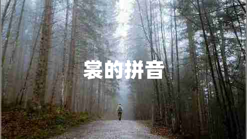 裳的拼音