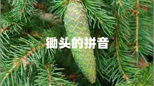 锄头的拼音