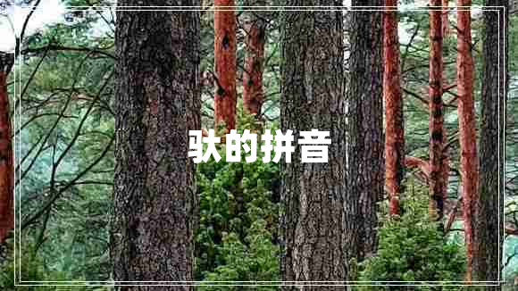 驮的拼音