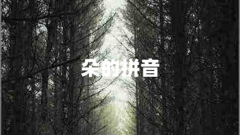 朵的拼音