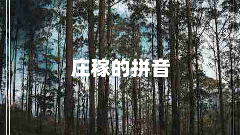 庄稼的拼音