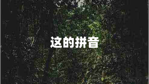 这的拼音