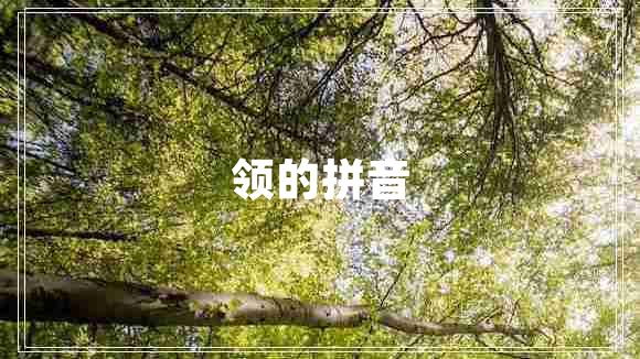 领的拼音