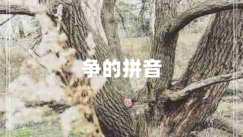 争的拼音