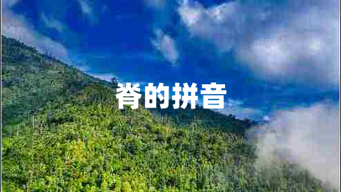 脊的拼音