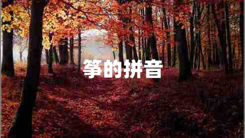 筝的拼音