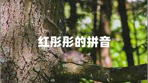 红彤彤的拼音