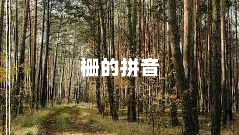 栅的拼音