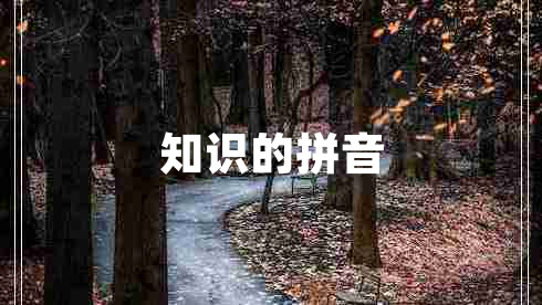 知识的拼音