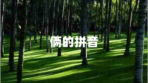 俩的拼音