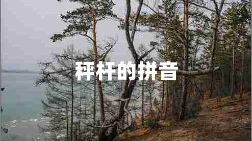 秤杆的拼音
