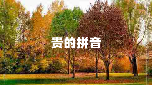 贵的拼音