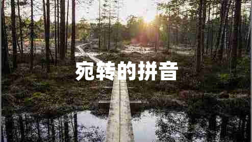 宛转的拼音