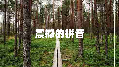 震撼的拼音