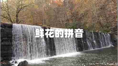 鲜花的拼音