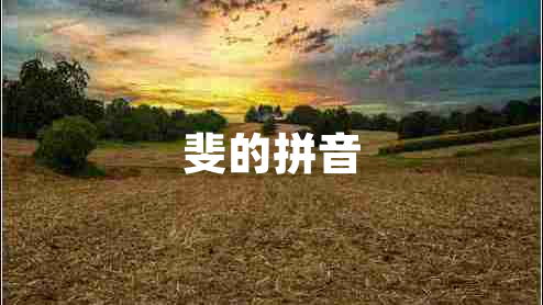 斐的拼音
