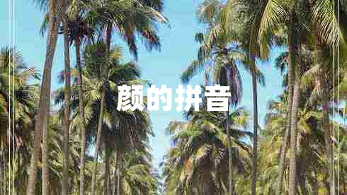 颜的拼音