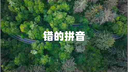 错的拼音