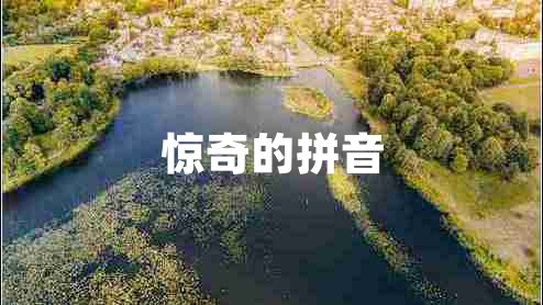 惊奇的拼音