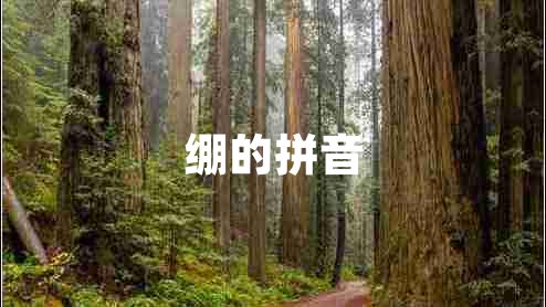 绷的拼音 绷的拼音