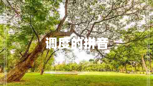 调度的拼音