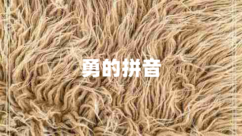 勇的拼音