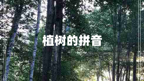 植树的拼音